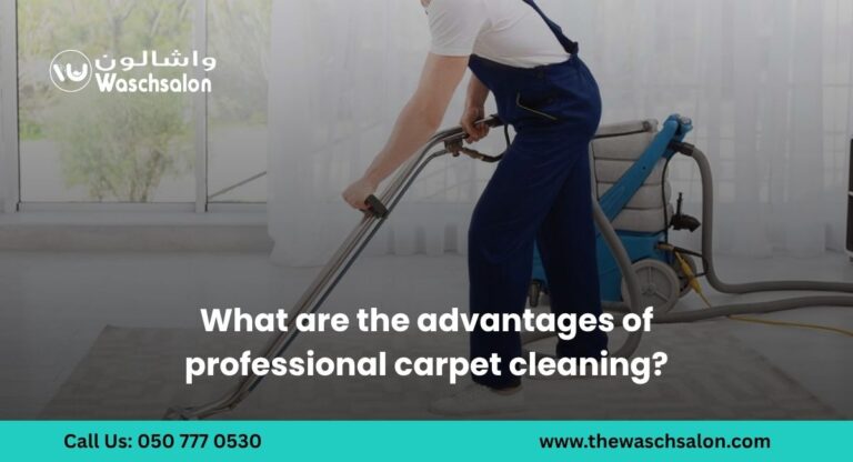 What are the advantages of professional carpet cleaning