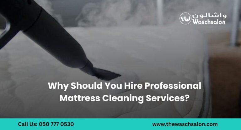 Why Should You Hire Professional Mattress Cleaning Services