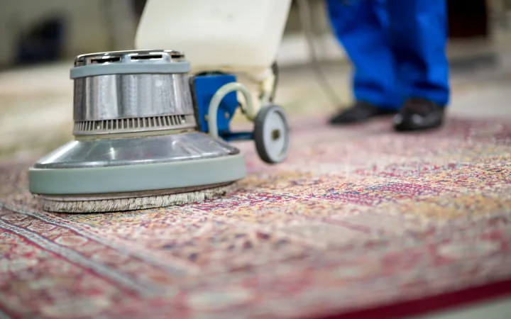 carpet_and_rug_cleaning