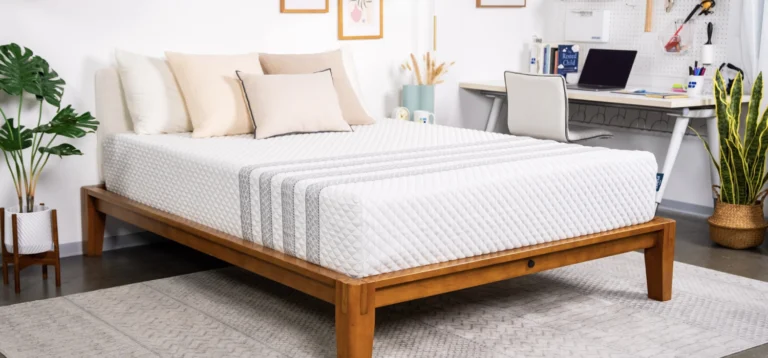 Orthopedic and Medical Mattresses