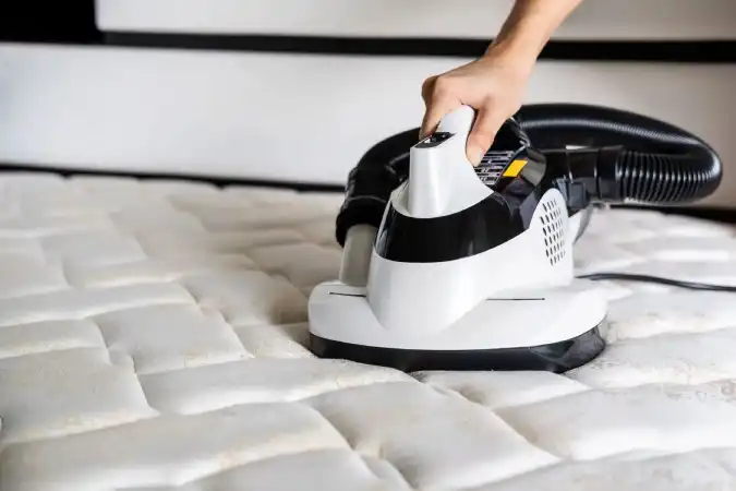 Clean Your Mattress To remove